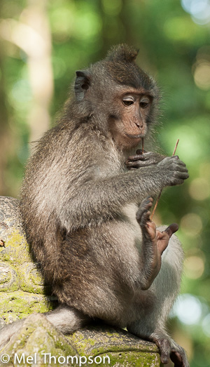 Dental floss selection